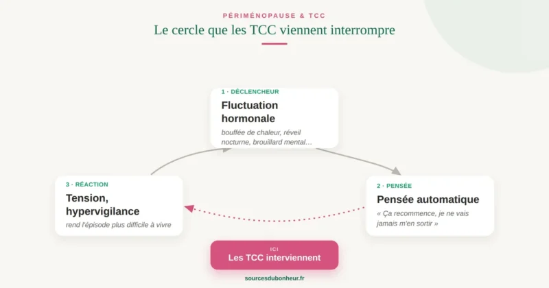 Le mécanisme déclencheur - pensée - tension en périménopause et le point d'intervention des TCC Infographie du cycle périménopause : déclencheur hormonal, pensée automatique, tension — et le point d'intervention des TCC