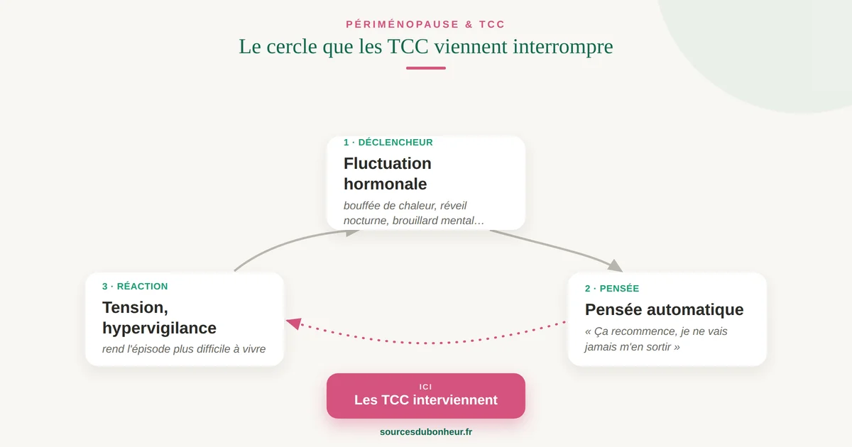 Infographie du cycle périménopause : déclencheur hormonal, pensée automatique, tension — et le point d'intervention des TCC